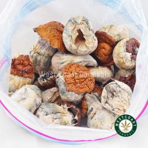 Buy Shrooms - Dino Eggs wc cannabis weed dispensary & online pot shop