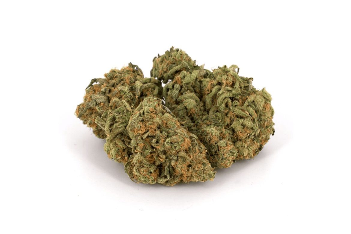Buy Zombie strain online in Canada. Discover its lineage, taste, aroma, smell & effects. Order weed online from the best weed store in Canada.