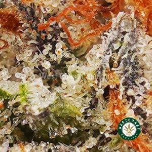 Buy weed Alien OG AA wc cannabis weed dispensary & online pot shop