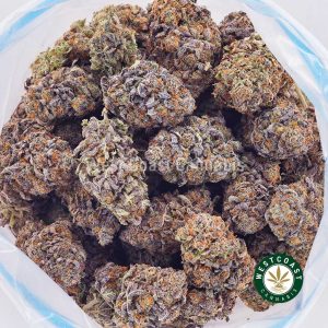 Buy weed Mendocino Purps AA wc cannabis weed dispensary & online pot shop