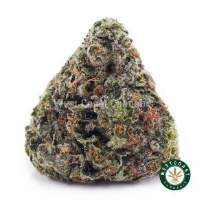 Buy weed Purple Tuna AA wc cannabis weed dispensary & online pot shop