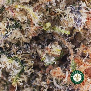 Buy weed Super Lemon Haze AAAA wc cannabis weed dispensary & online pot shop