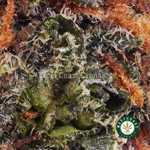 Buy weed Watermelon Zkittlez AAAA wc cannabis weed dispensary & online pot shop Buy weed Watermelon Zkittlez AAAA wc cannabis weed dispensary & online pot shop