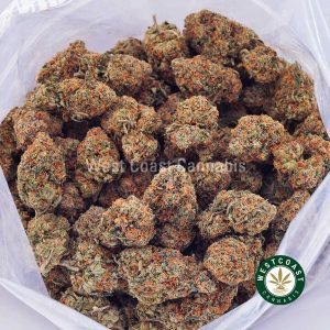 Buy weed Watermelon Zkittlez AAAA wc cannabis weed dispensary & online pot shop Buy weed Watermelon Zkittlez AAAA wc cannabis weed dispensary & online pot shop