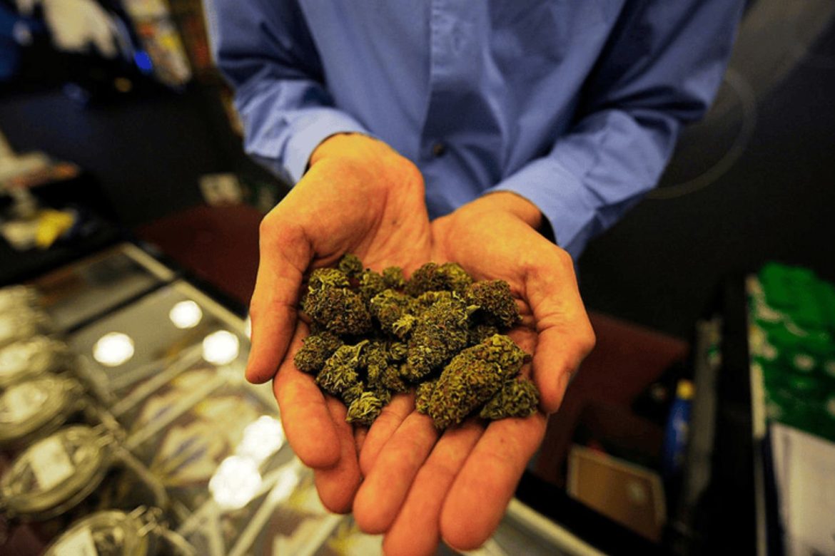 You don’t need to wait for holidays when you can buy bulk weed online, all day, every day at West Coast Cannabis. Click now & grab great deals.