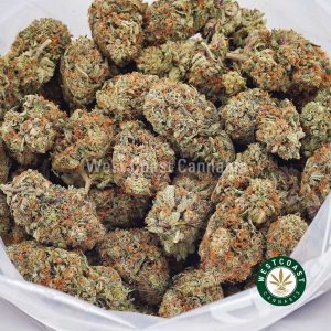 Buy weed Critical Kush AAA wc cannabis weed dispensary & online pot shop Buy weed Critical Kush AAA wc cannabis weed dispensary & online pot shop