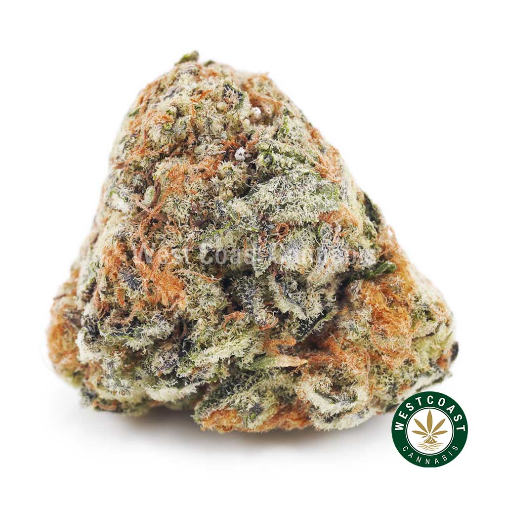 Buy weed Gorilla Cake AAAA wc cannabis weed dispensary & online pot shop Buy weed Gorilla Cake AAAA wc cannabis weed dispensary & online pot shop