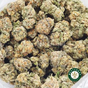 Buy weed Gorilla Cake AAAA wc cannabis weed dispensary & online pot shop Buy weed Gorilla Cake AAAA wc cannabis weed dispensary & online pot shop