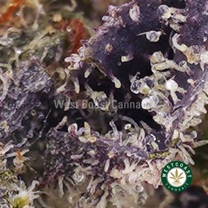 Buy weed OG Octane AAAA wc cannabis weed dispensary & online pot shop