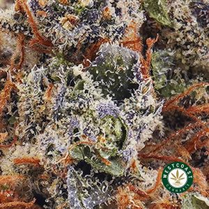 Buy weed Atomic Blueberry AAAA wc cannabis weed dispensary & online pot shop