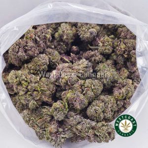 Buy weed Purple Amnesia AAA wc cannabis weed dispensary & online pot shop