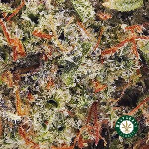 Buy weed Banana Fruit Punch AAAA wc cannabis weed dispensary & online pot shop