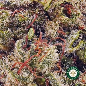 Buy weed Sherbet AAA wc cannabis weed dispensary & online pot shop