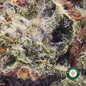 Buy weed Guava Cake AAAA wc cannabis weed dispensary & online pot shop