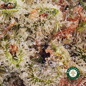 Buy weed Nirvana AAAA (Popcorn Nugs) wc cannabis weed dispensary & online pot shop