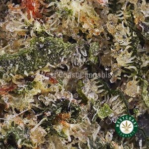 Buy weed Black Tuna AAAA (Popcorn Nugs) wc cannabis weed dispensary & online pot shop Buy weed Black Tuna AAAA (Popcorn Nugs) wc cannabis weed dispensary & online pot shop