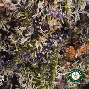 Buy weed Black Cherry Gelato AAA wc cannabis weed dispensary & online pot shop