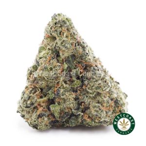 Buy weed Cherry Gelato AAA wc cannabis weed dispensary & online pot shop