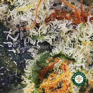 Buy weed Pineapple Cheesecake AAAA+ wc cannabis weed dispensary & online pot shop