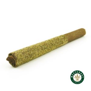 M836A1 sesh indica wccannabis
