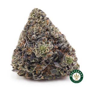T286A1 ISLANDPINKKUSHSALE WCCANNABIS 300x300