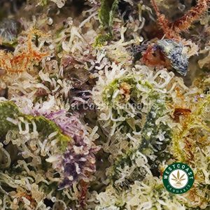 Buy weed Sherbet Punch AAA wc cannabis weed dispensary & online pot shop