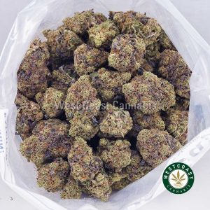 Buy weed Sherbet Punch AAA wc cannabis weed dispensary & online pot shop