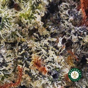 Buy weed Peach Runtz AAA wc cannabis weed dispensary & online pot shop