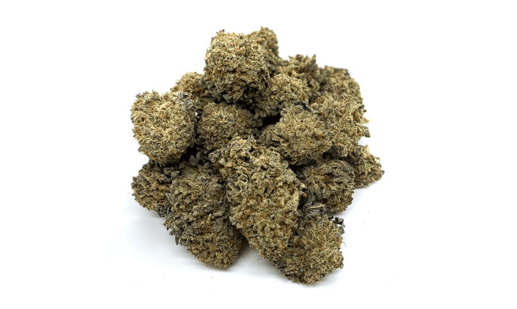 BC Bud Online: What Makes It Best in the World