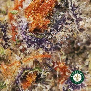 Buy weed Black Cherry Haze AAA wc cannabis weed dispensary & online pot shop