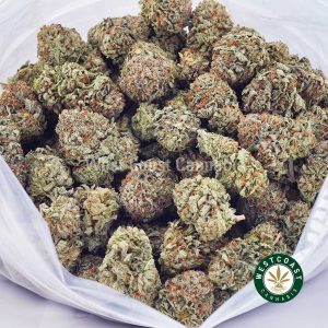 Buy weed Black Cherry Haze AAA wc cannabis weed dispensary & online pot shop