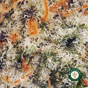 Buy weed Strawberry Cheesecake AAAA wc cannabis weed dispensary & online pot shop
