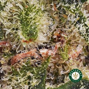 Buy weed Strawberry Cream Cookies AAAA (Popcorn Nugs) wc cannabis weed dispensary & online pot shop