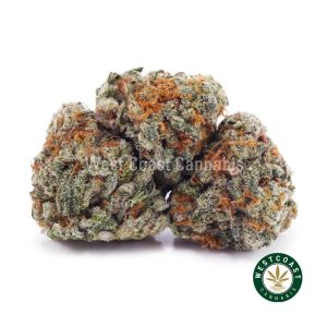 Buy weed Macmosa AAAA (Popcorn Nugs) wc cannabis weed dispensary & online pot shop Buy weed Macmosa AAAA (Popcorn Nugs) wc cannabis weed dispensary & online pot shop