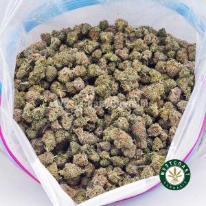 Buy weed Pineapple Haze AAAA (Popcorn Nugs) wc cannabis weed dispensary & online pot shop Buy weed Pineapple Haze AAAA (Popcorn Nugs) wc cannabis weed dispensary & online pot shop