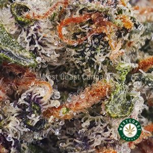Buy weed Rainbow Sherbet AAA wc cannabis weed dispensary & online pot shop