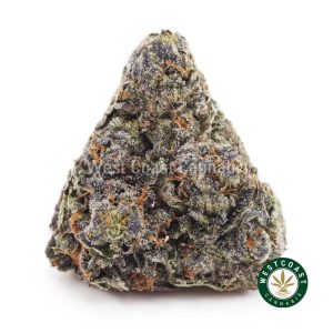 T169A1 VINTAGEBLUEBERRY WCCANNABIS T169A1 VINTAGEBLUEBERRY WCCANNABIS