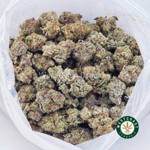 Buy weed Thin Mintz Cookies AAA wc cannabis weed dispensary & online pot shop Buy weed Thin Mintz Cookies AAA wc cannabis weed dispensary & online pot shop