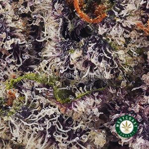 Buy weed Confetti Cake AAAA (Popcorn Nugs) wc cannabis weed dispensary & online pot shop Buy weed Confetti Cake AAAA (Popcorn Nugs) wc cannabis weed dispensary & online pot shop