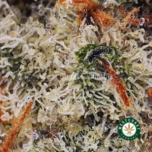 Buy weed Alien OG AAAA (Popcorn Nugs) wc cannabis weed dispensary & online pot shop Buy weed Alien OG AAAA (Popcorn Nugs) wc cannabis weed dispensary & online pot shop