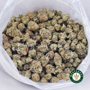 Buy weed Alien OG AAAA (Popcorn Nugs) wc cannabis weed dispensary & online pot shop Buy weed Alien OG AAAA (Popcorn Nugs) wc cannabis weed dispensary & online pot shop