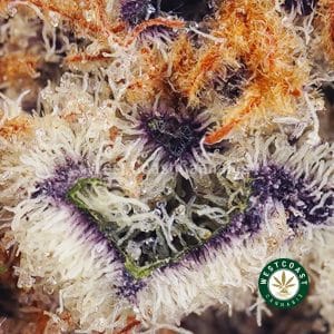 Buy weed Banana Breath AAAA (Popcorn Nugs) wc cannabis weed dispensary & online pot shop