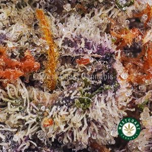 Buy weed Forbidden Fruit AAAA wc cannabis weed dispensary & online pot shop Buy weed Forbidden Fruit AAAA wc cannabis weed dispensary & online pot shop