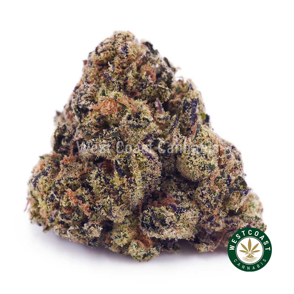Buy weed Ninja Fruit Punch AA wc cannabis weed dispensary & online pot shop Buy weed Ninja Fruit Punch AA wc cannabis weed dispensary & online pot shop