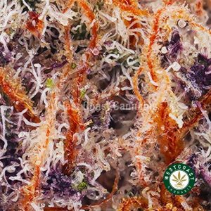 Buy weed Space Cake AAAA wc cannabis weed dispensary & online pot shop Buy weed Space Cake AAAA wc cannabis weed dispensary & online pot shop