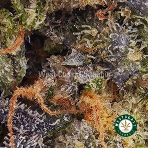 Buy weed Mango Kush AAA wc cannabis weed dispensary & online pot shop Buy weed Mango Kush AAA wc cannabis weed dispensary & online pot shop