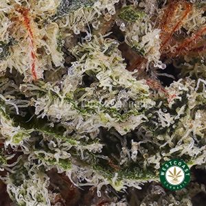Buy weed Strawberry Kush AAAA (Popcorn Nugs) wc cannabis weed dispensary & online pot shop