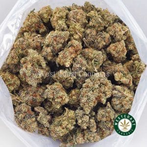Buy weed Black Cherry Punch AA wc cannabis weed dispensary & online pot shop Buy weed Black Cherry Punch AA wc cannabis weed dispensary & online pot shop