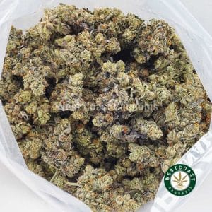 Buy weed Hawaiian Pink Punch AAAA+ wc cannabis weed dispensary & online pot shop Buy weed Hawaiian Pink Punch AAAA+ wc cannabis weed dispensary & online pot shop