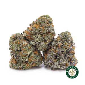 Buy weed Cheese Quake AAAA (Popcorn Nugs) wc cannabis weed dispensary & online pot shop